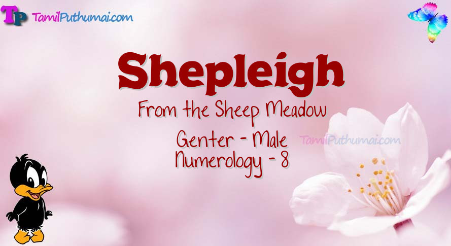 Shepleigh-babyname-meaning