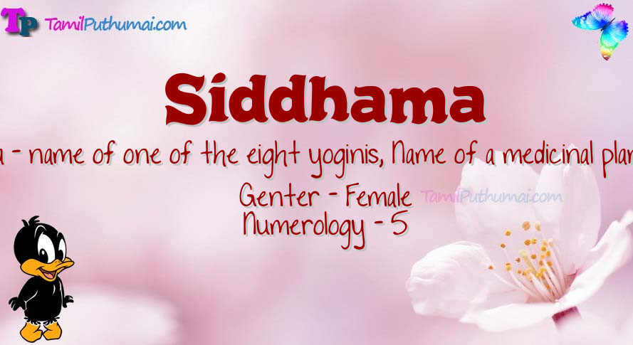 Siddhama-babyname-meaning