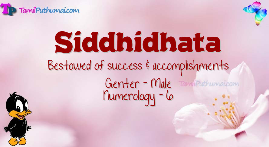 Siddhidhata-babyname-meaning