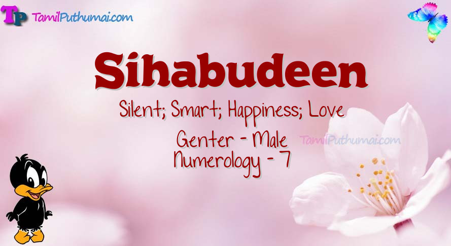 Sihabudeen-babyname-meaning