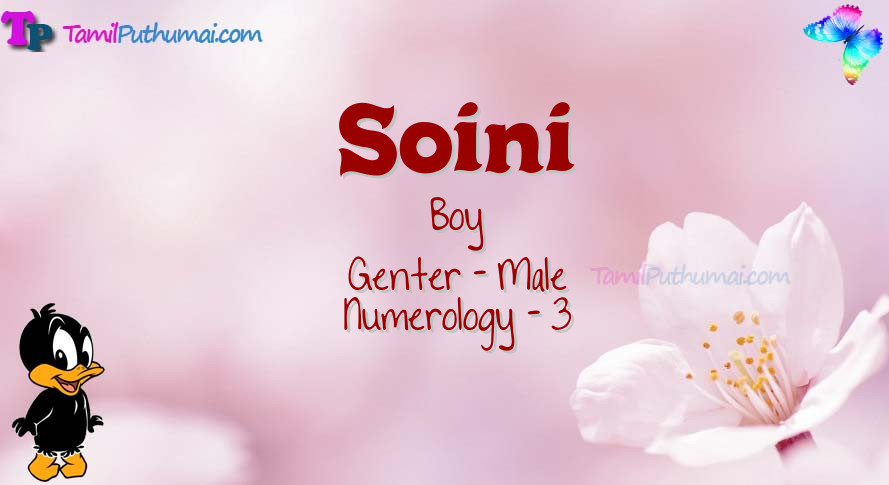 Soini-babyname-meaning