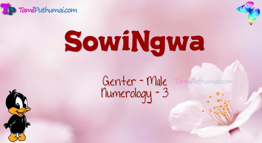 SowiNgwa-babyname-meaning