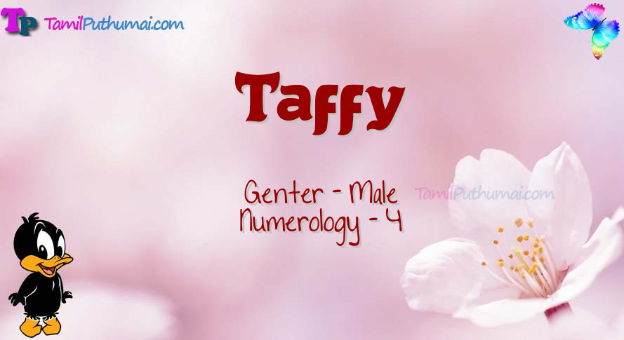 Taffy-babyname-meaning