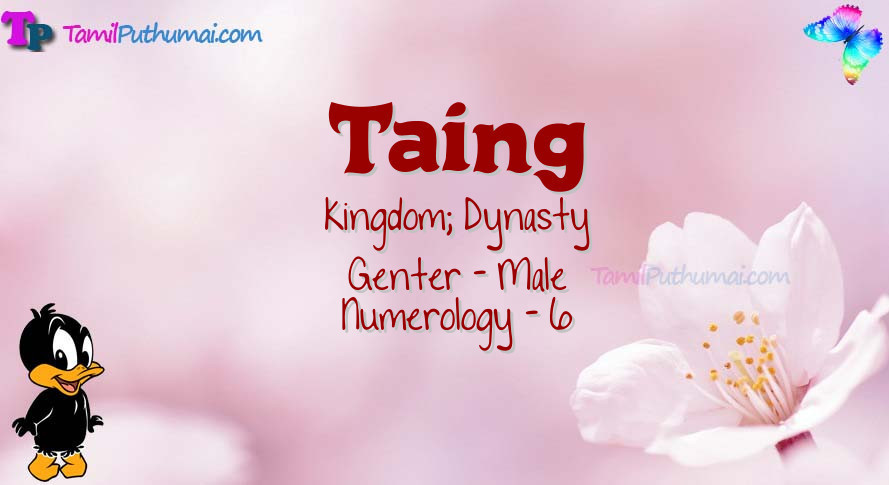 Taing-babyname-meaning