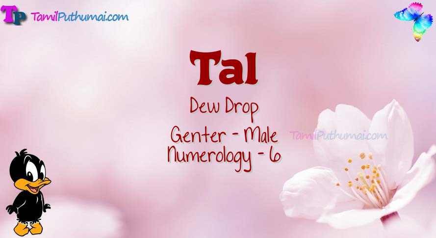 Tal-babyname-meaning