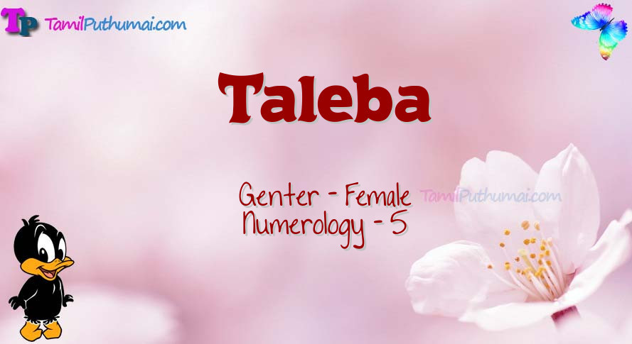 Taleba-babyname-meaning