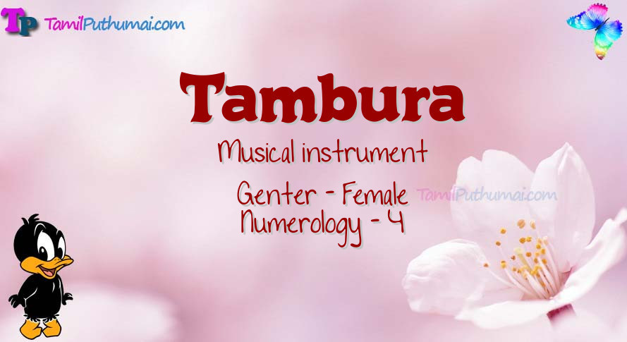 Tambura-babyname-meaning