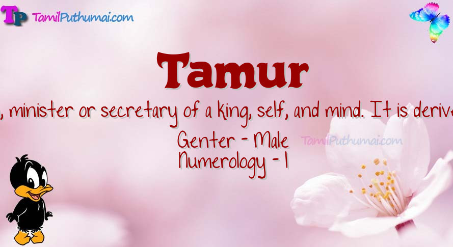 Tamur-babyname-meaning
