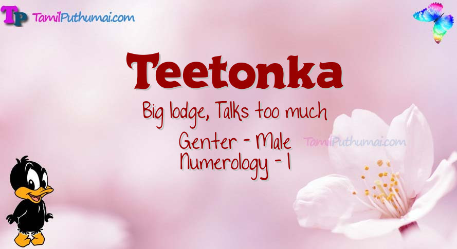 Teetonka-babyname-meaning