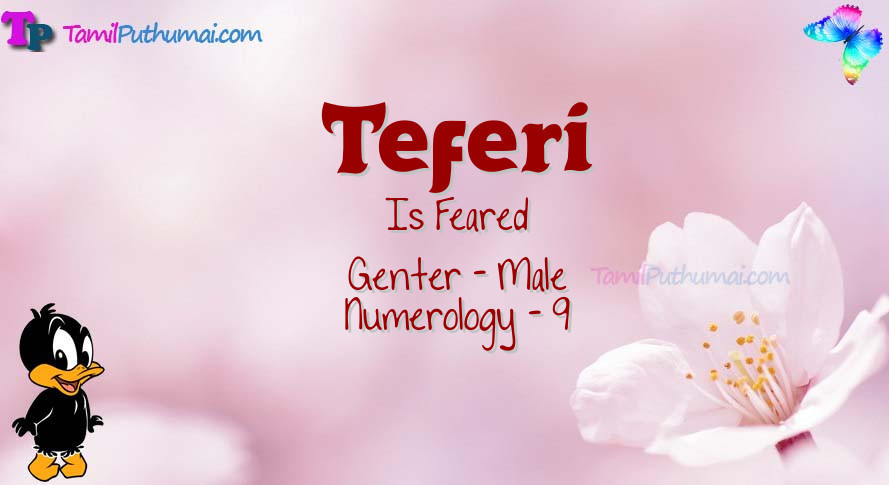 Teferi-babyname-meaning