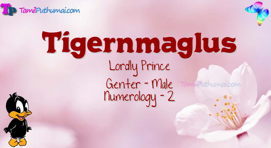 Tigernmaglus-babyname-meaning