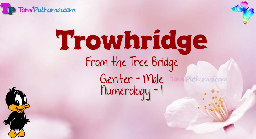 Trowhridge-babyname-meaning