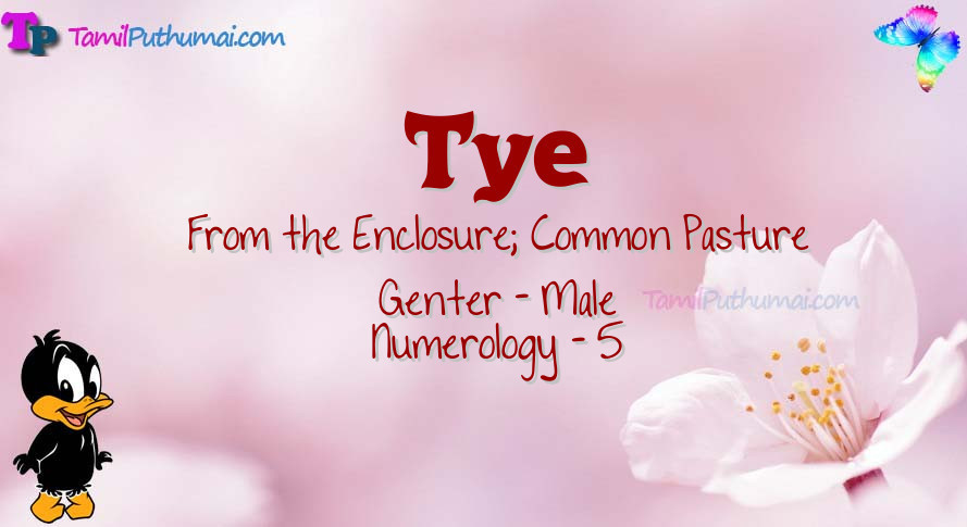 Tye-babyname-meaning
