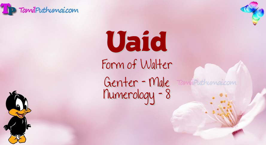 Uaid-babyname-meaning