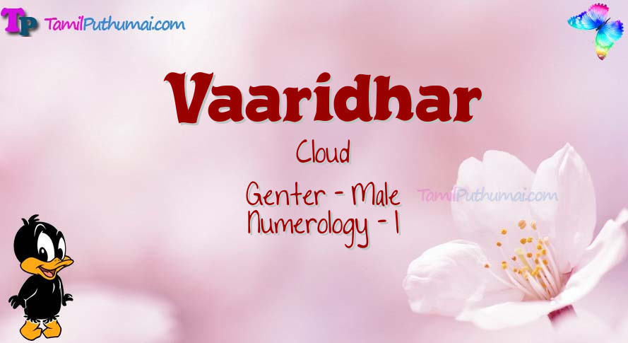 Vaaridhar-babyname-meaning