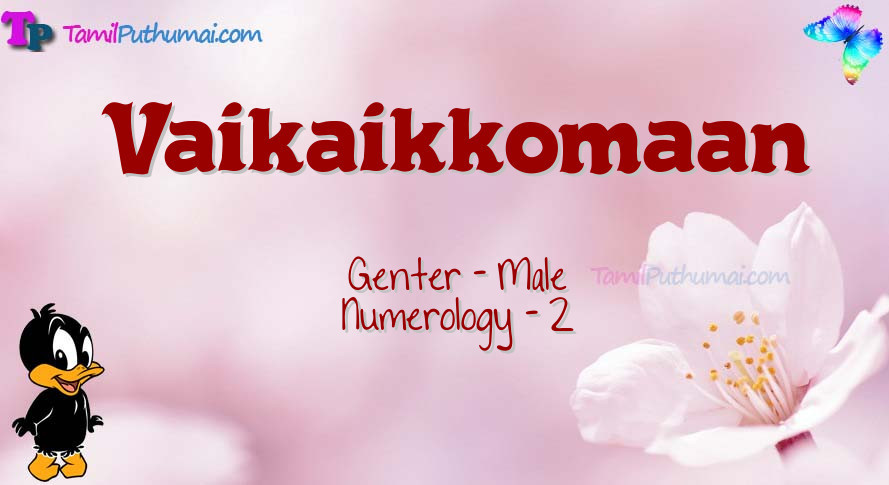 Vaikaikkomaan-babyname-meaning