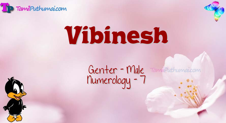 Vibinesh-babyname-meaning