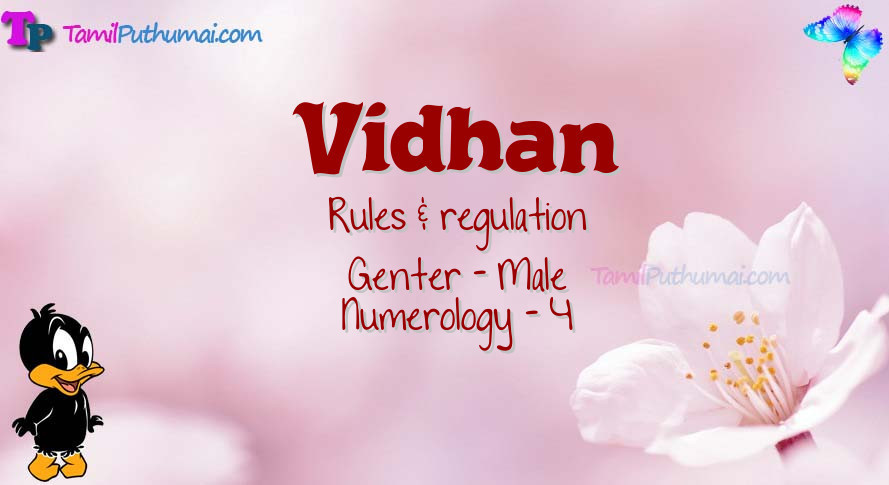 Vidhan-babyname-meaning