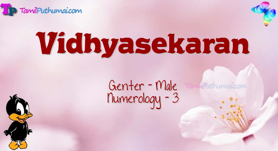 Vidhyasekaran-babyname-meaning