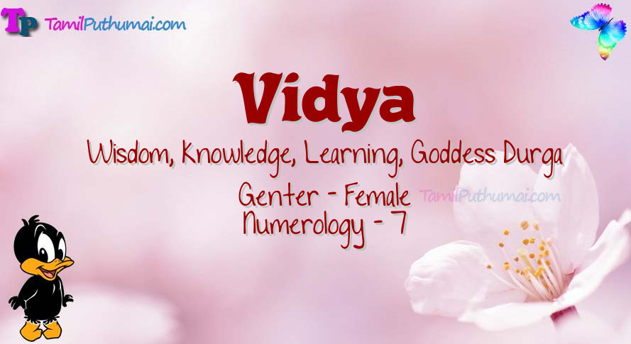 Vidya-babyname-meaning
