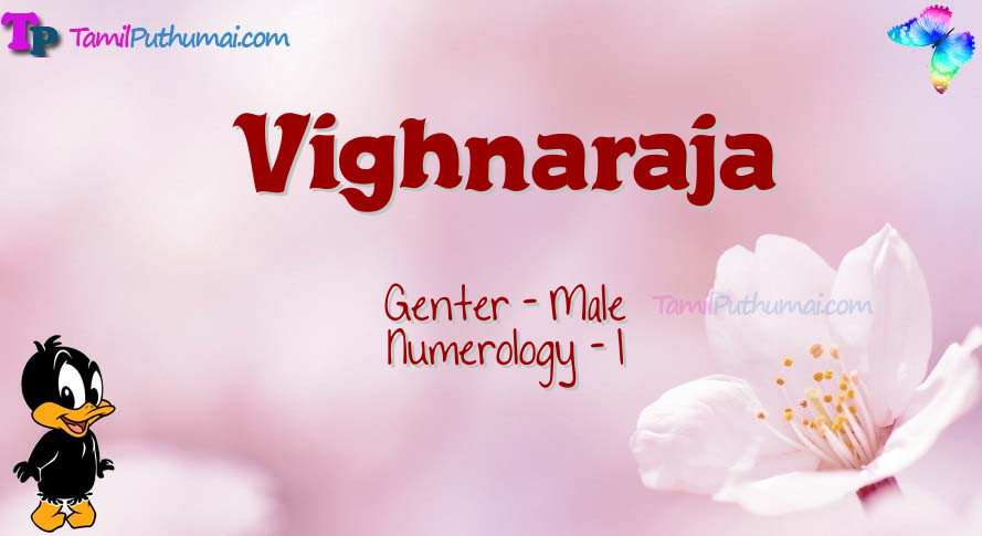 Vighnaraja-babyname-meaning