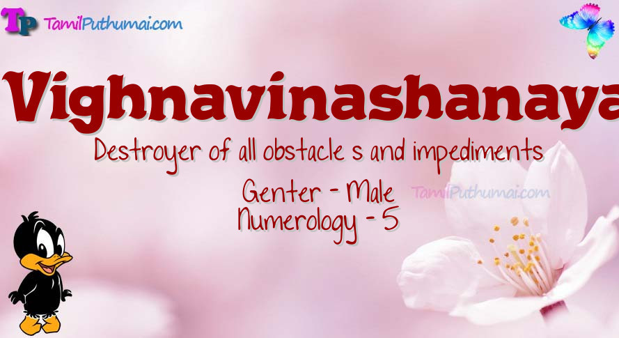 Vighnavinashanaya-babyname-meaning
