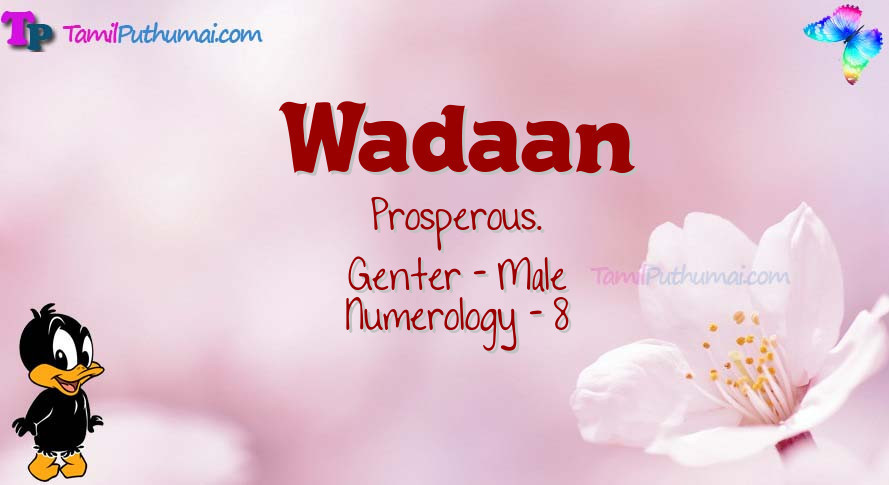 Wadaan-babyname-meaning