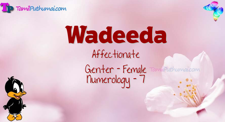 Wadeeda-babyname-meaning