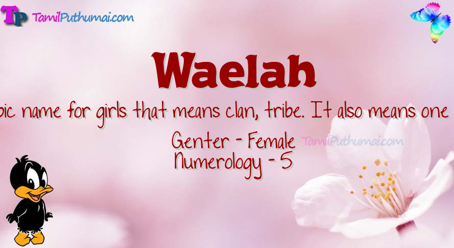 Waelah-babyname-meaning