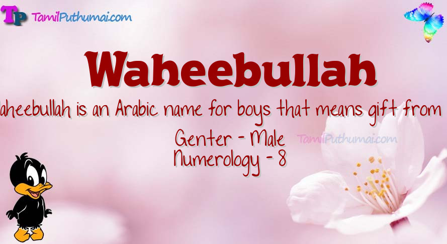 Waheebullah-babyname-meaning