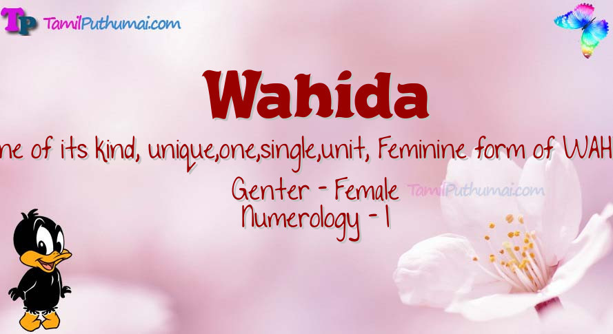 Wahida-babyname-meaning