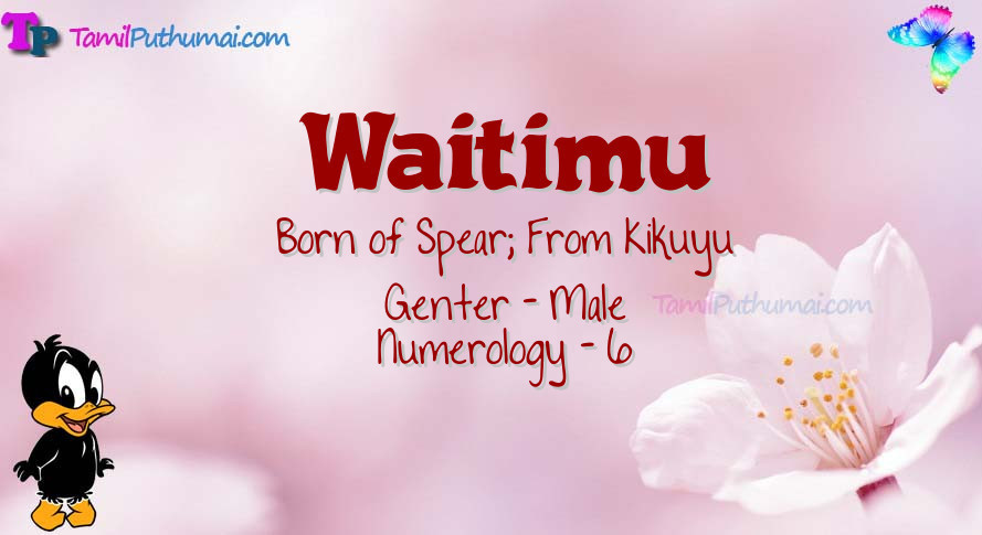 Waitimu-babyname-meaning