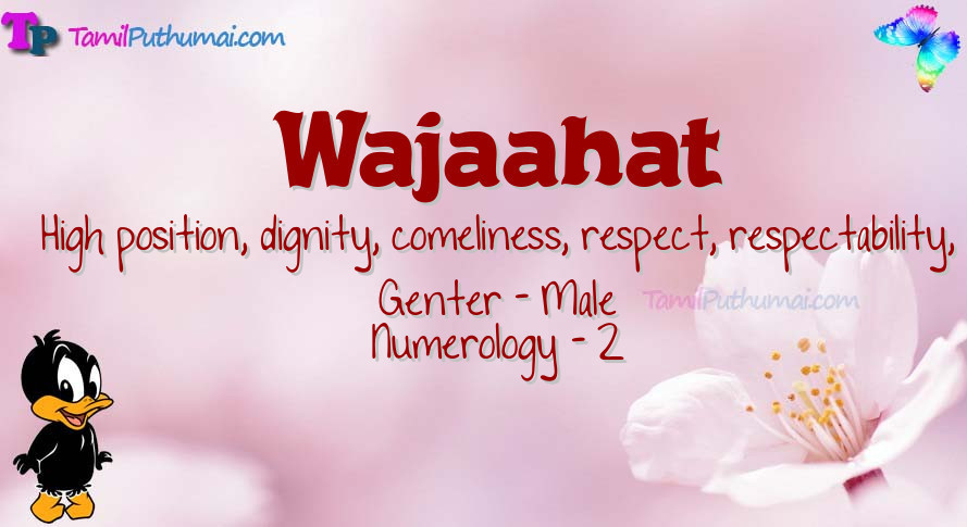 Wajaahat-babyname-meaning