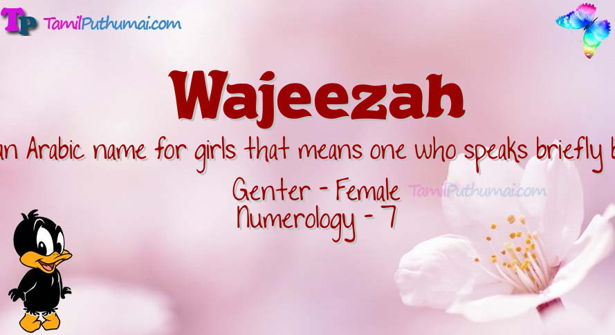 Wajeezah-babyname-meaning
