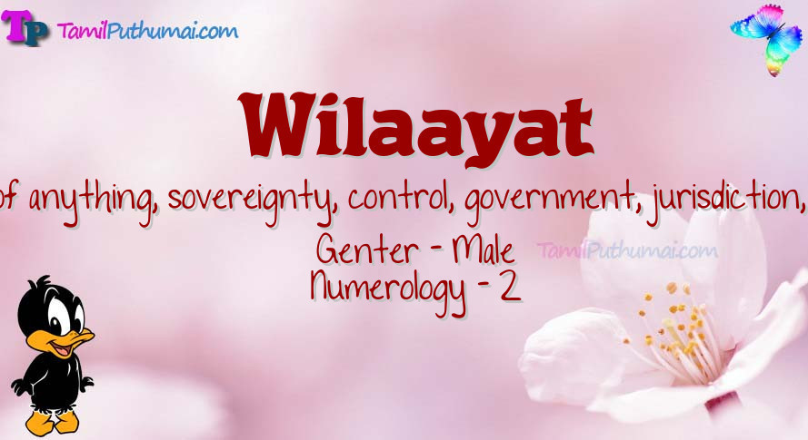 Wilaayat-babyname-meaning