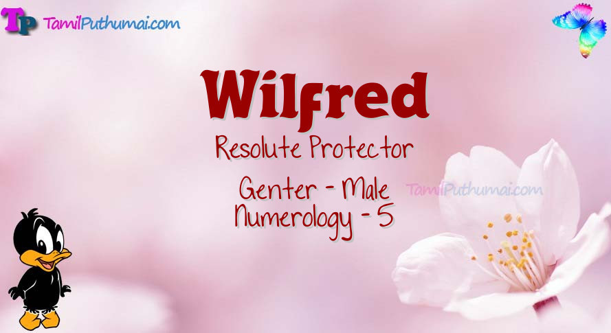 Wilfred-babyname-meaning