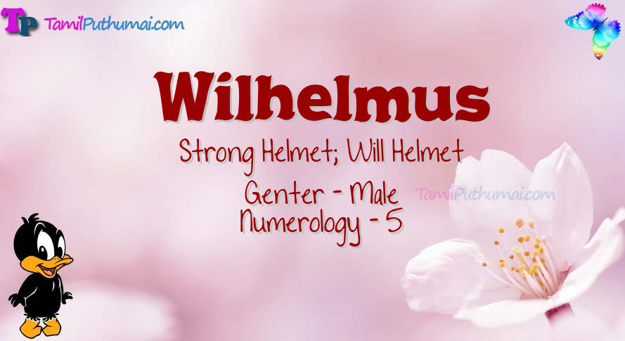 Wilhelmus-babyname-meaning