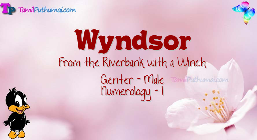 Wyndsor-babyname-meaning