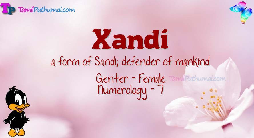 Xandi-babyname-meaning