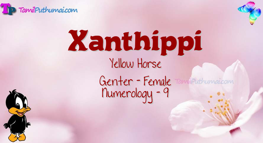 Xanthippi-babyname-meaning