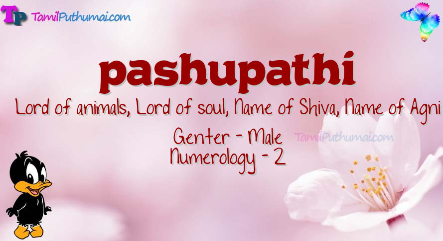 pashupathi-babyname-meaning