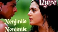 Nenjinile Nenjinile (நெஞ்சினிலே நெஞ்சினிலே) song lyrics