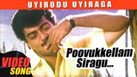 Poovukellam Siragu (பூவுக்கெல்லாம் சிறகு) song lyrics