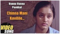 Chinna Mani