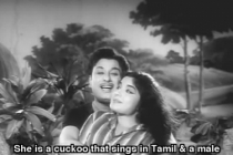 Adangoppuraane