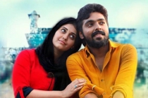 Nilavin Niramum Vannam