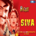 Ada maappillai