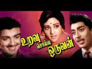 Panimalar neeril aadum