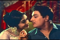 Vetkammilai