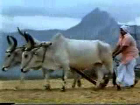 Maari Mazhai Peyaadho
